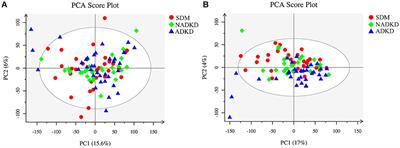 Urine Metabolomics Analysis in Patients With Normoalbuminuric Diabetic Kidney Disease